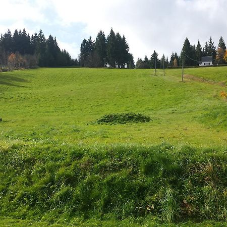 Ferienhaus Am Skihang Altenberg  Esterno foto