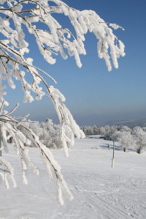 Ferienhaus Am Skihang Altenberg  Esterno foto